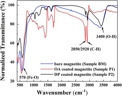 Colloidal Stability of Magnetite Nanoparticles Coated by Oleic Acid and 3-(N,N-Dimethylmyristylammonio)propanesulfonate in Solvents